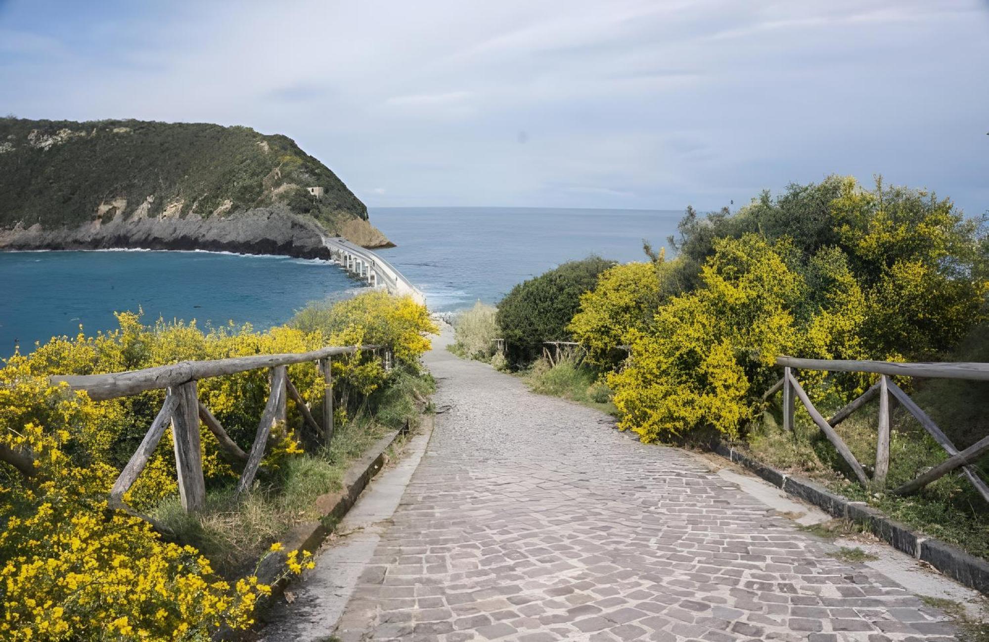 Mezza Torre B&B Procida Exteriér fotografie